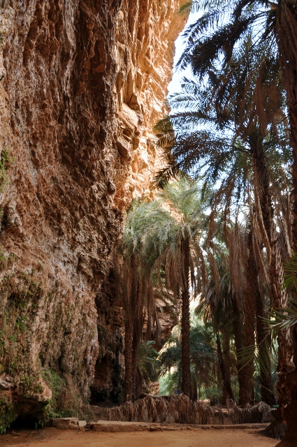 The oasis!