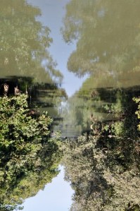 DSC_0379 (425x640)