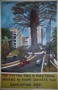 Conakry Cotton Tree
