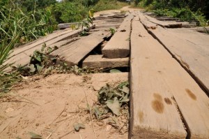 A bridge to cross