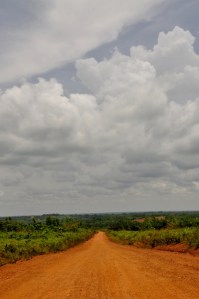DSC_0535 (425x640)