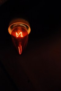 DSC_0750 (425x640)