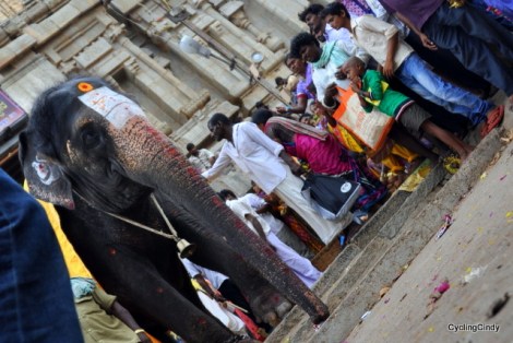 Festival in Hampi