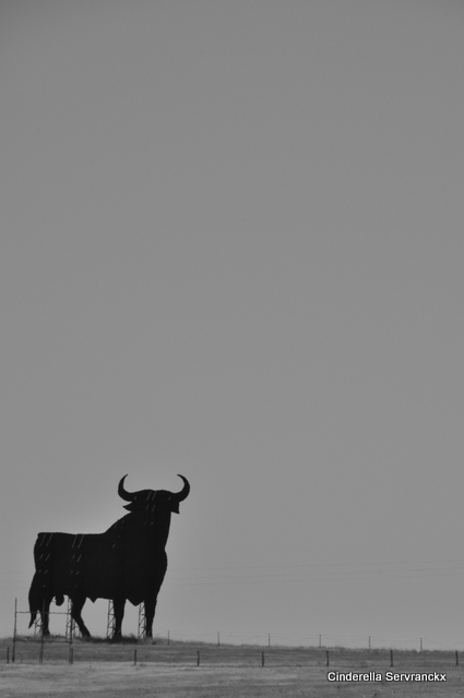 De welbekende stier! Alleen zijn nu de Sherry-advertenties erbij verdwenen?!