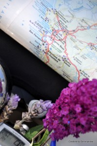 Steve blijft me met bloemetjes verzorgen