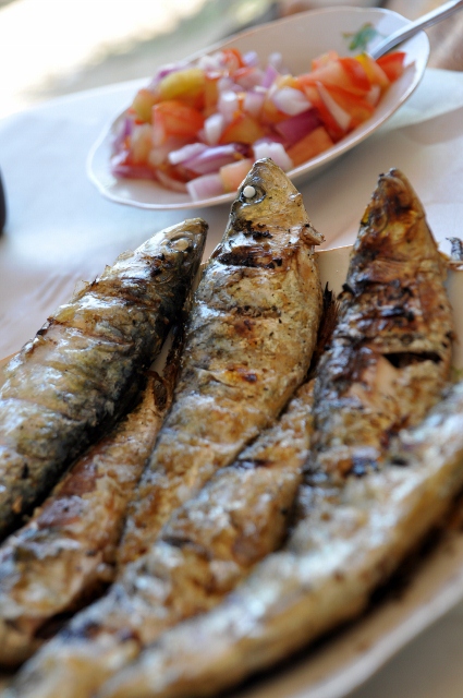 Wat een lunch, vele sardines compleet met ingewanden, smullen!