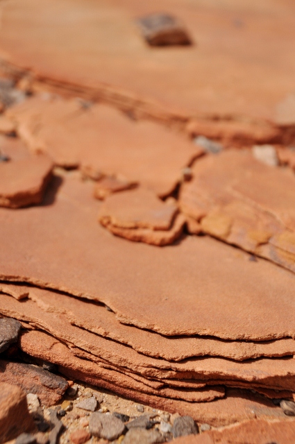 Colours of the Mauritanian Sahara 