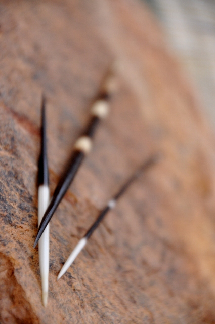Needles of a wild animal