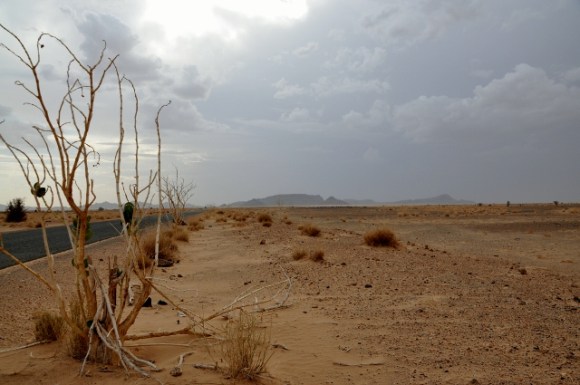 Beauty and easiness start to loose from storm and sand!