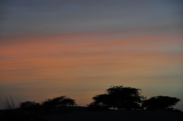 Just before getting dark and sleepy