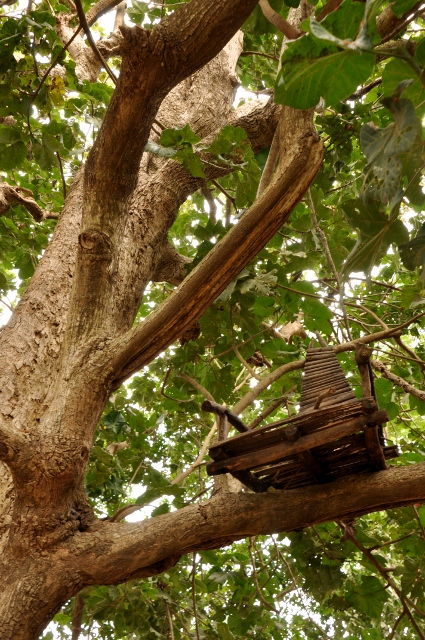 Would be a pleasure to sit here! 