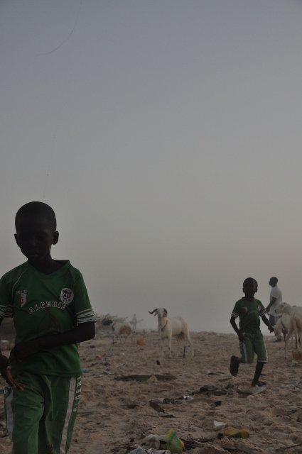 Boys with their kites