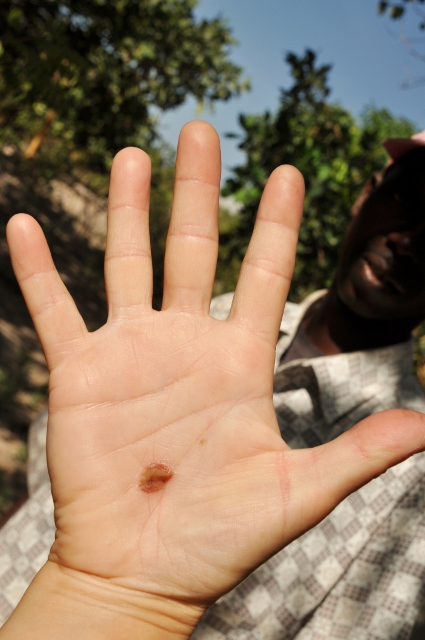 Link naar Suleyman maken