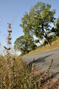 On the road, finally