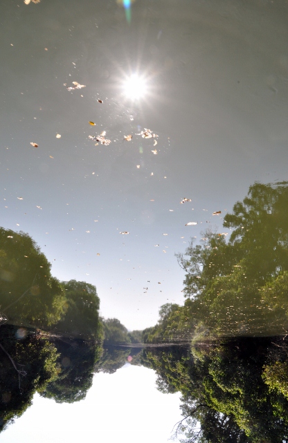 Upside Down River