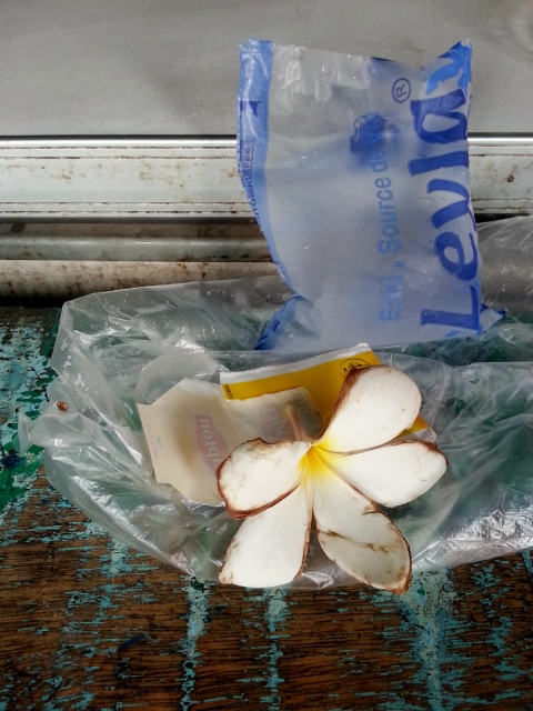 Water and Frangipane