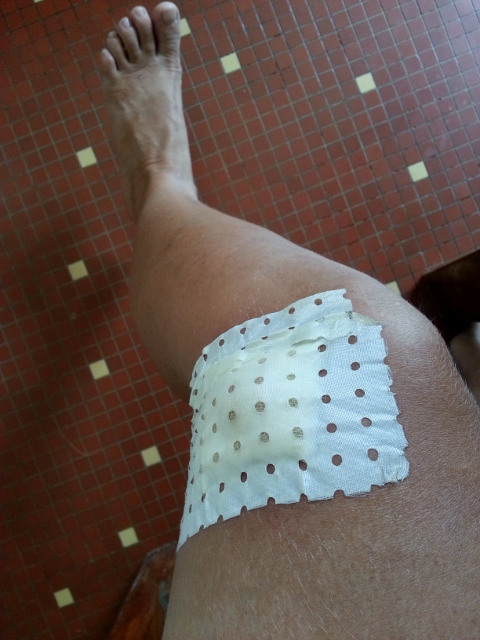 20130426_092517 (480x640)