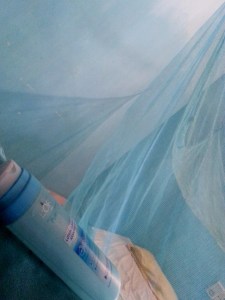 20130503_115045 (480x640)