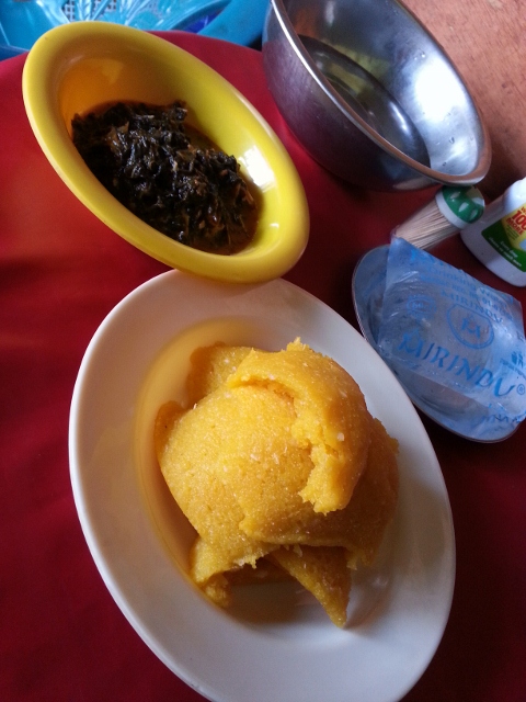 20130518_154043 (480x640)