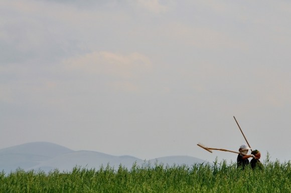 Lunch Tijd. Kom Jij Ook...