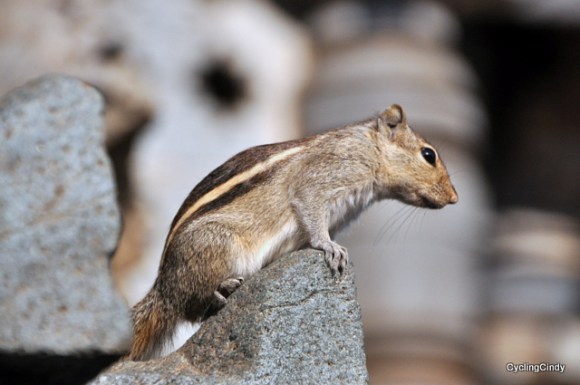 Oh... I want once More