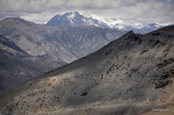 Tata Trucks in a Row