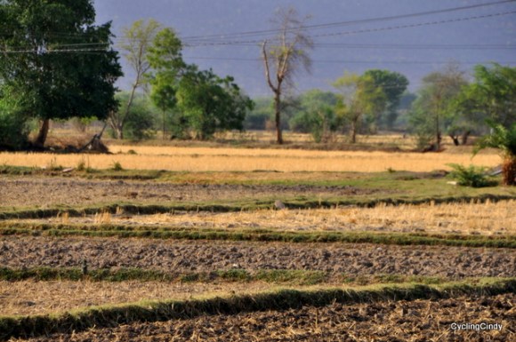 Coming Closer To Bundi