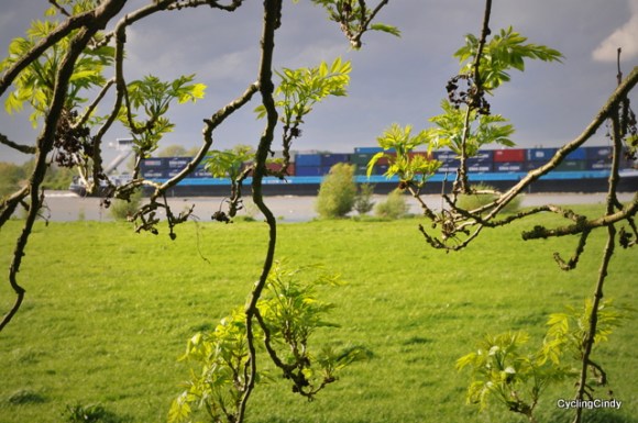 A stealth camp at a river