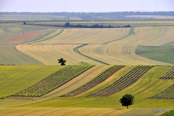 The neatness of an Austrian farmer