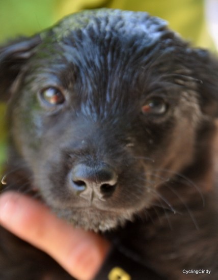 We named him 'Little Mister Knack Worst'