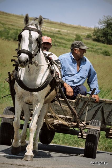 Horse working hard with an empty cart