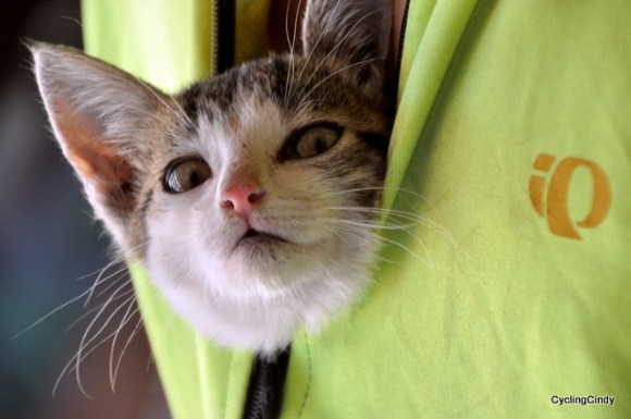 For doing this, I love my lover even more!