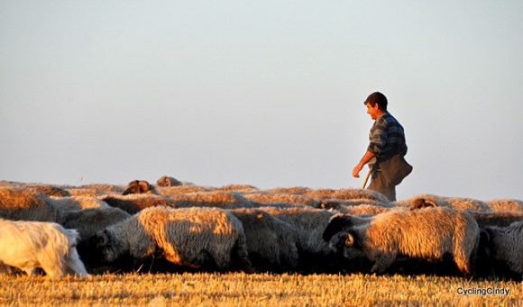 Having set up camp and than we see this...