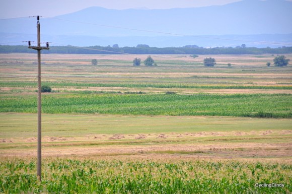 Less neat and taken care for, more beautiful