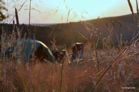 Our first night camp in Romania was mostly a patch for sheep