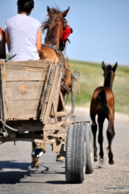This IS Romania, no wonder I LOVE it