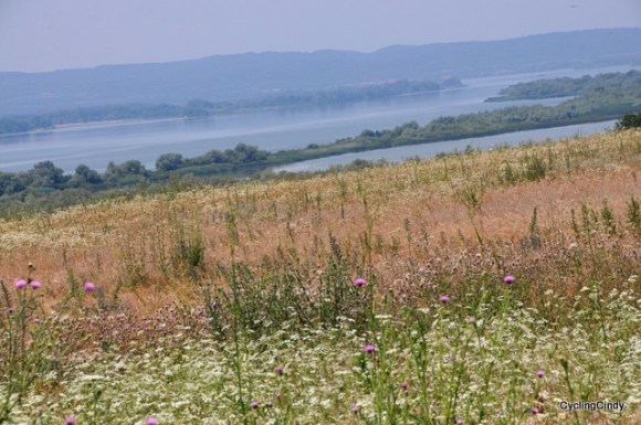 We made a shortcut through the hills, cutting off the long shore ways