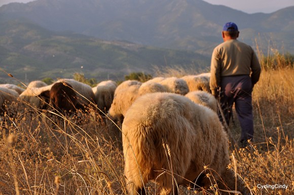 Another shepherd. He entered our camp when we thought to be stealthy...