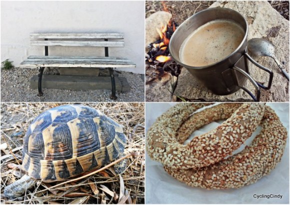 Beautiful bench again. Simit, delicious. And of course, the turtle!