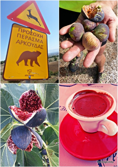 Strong coffee, figs for free and a remarkable sign!
