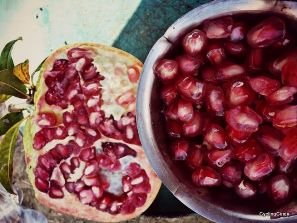 pomegranate