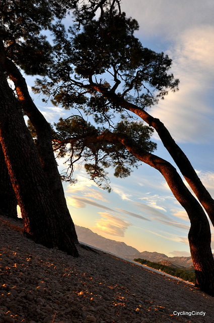 At the coast of Makarska