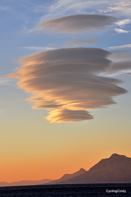 While I was focussing on the tress, my lover was watching the clouds!