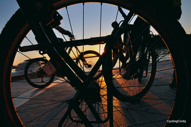 Behind the cycle wheel