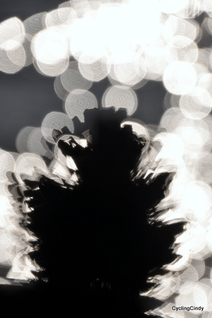 Is this art, or what?!