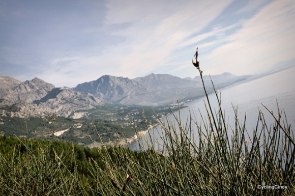 looking back is a reward!