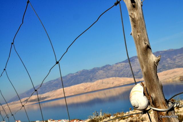 Pag island