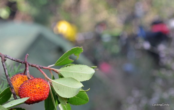 We have found a little open space to place the tent