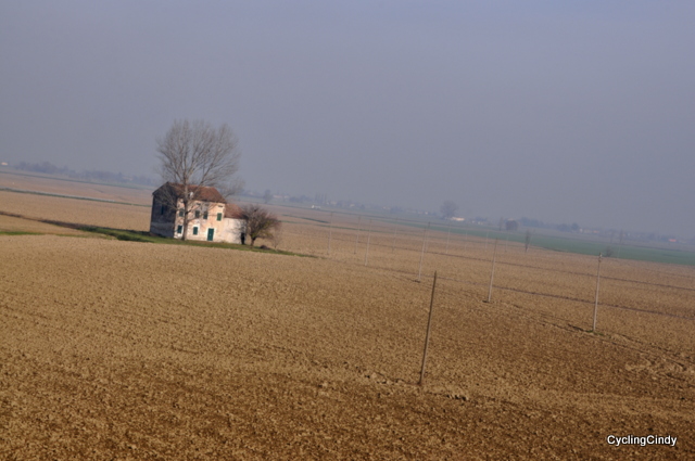 DSC_0925