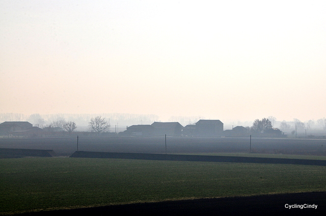 DSC_0968